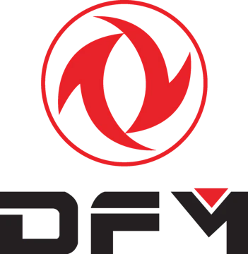 DFM